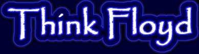 Think Floyd pink floyd tribute band